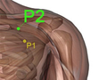 Point acupuncture poumon 2 P2